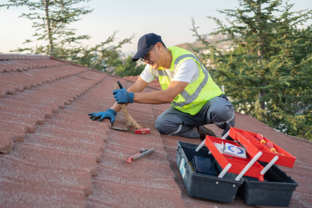 Roof Gutter Cleaning in Ranchester, WY