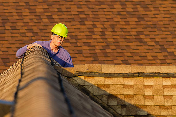 Best Roof Leak Repair  in Ranchester, WY