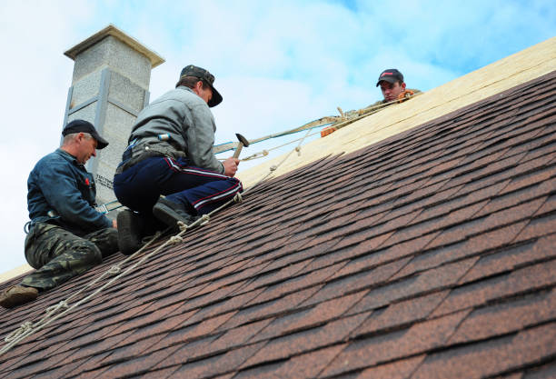 Best Local Roofing Companies  in Ranchester, WY