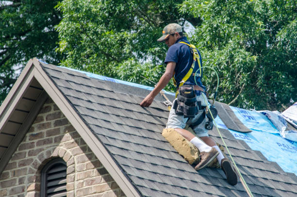 Best New Roof Installation  in Ranchester, WY